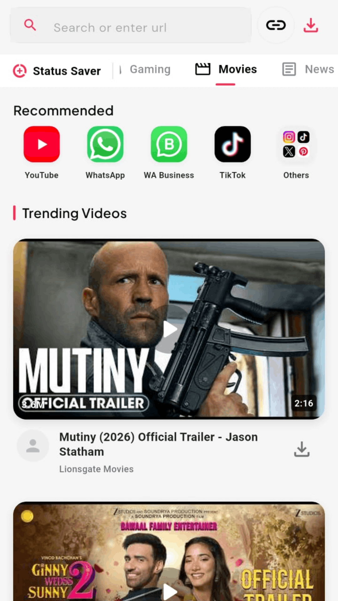 videodownloader.net App Screenshot